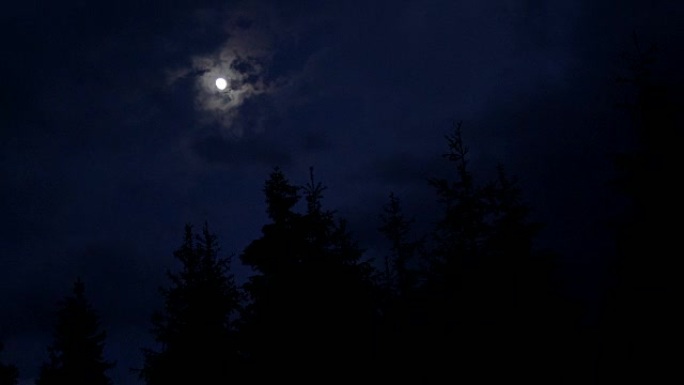 月亮在云杉上闪烁