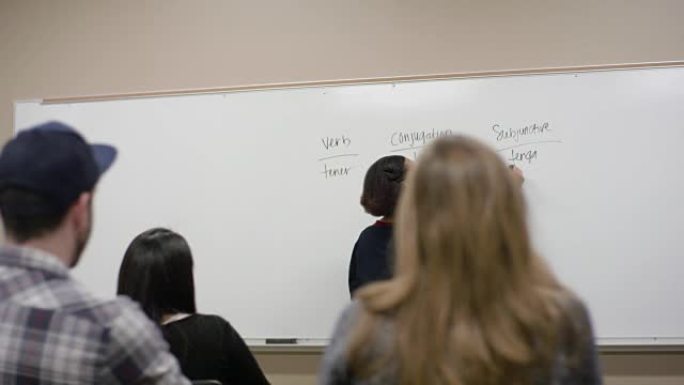 非裔美国学生指导她的西班牙语课程