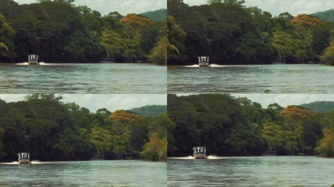 建立穿越野生热带河流的旅游船的镜头。