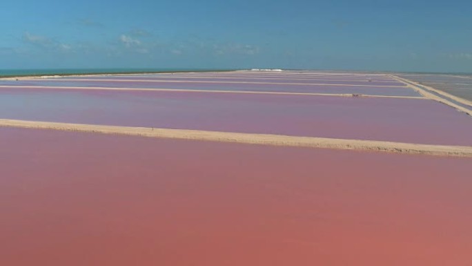 沙堤围成的盐蒸发池塘中的空中惊人的粉红色海水