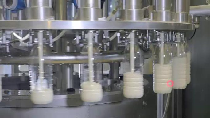 牛奶生产厂的工业设备上的牛奶倒入瓶子中