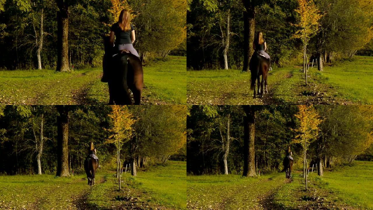 女孩在森林里骑马