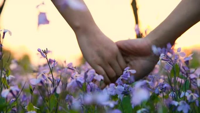 夫妻在日落时牵手鲜花