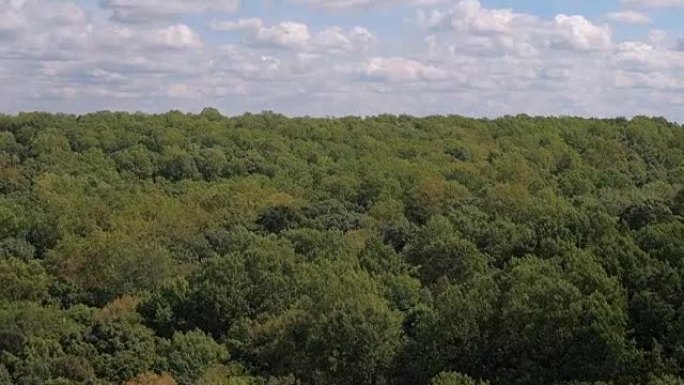 空中: 纽约边缘的山腰覆盖着茂密的落叶林