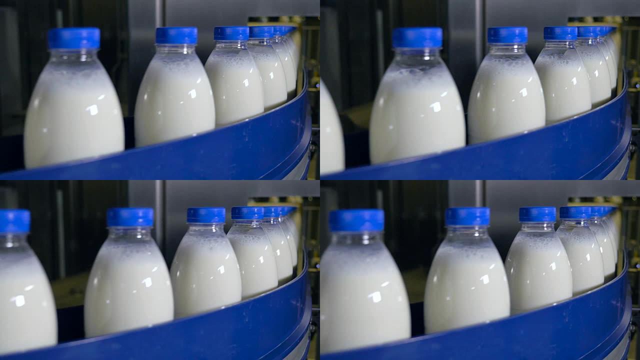 牛奶厂。在工业输送机上移动的奶瓶