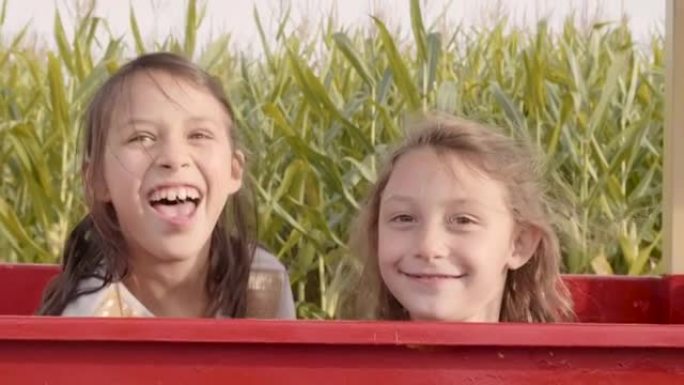 两个年轻女孩从玉米田的垃圾箱中高峰