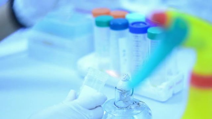 科学家和生物实验室实验