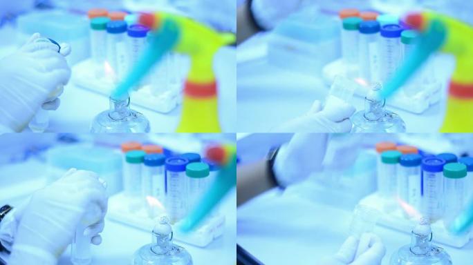 科学家和生物实验室实验