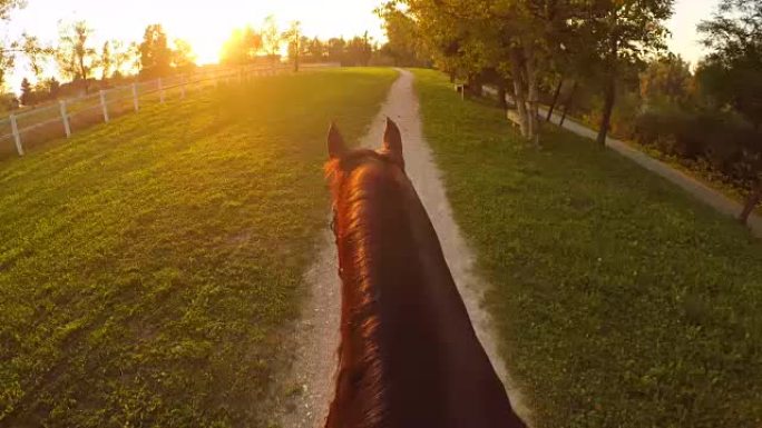 FPV: 金色日落时在美丽的休闲公园里骑神奇的夜晚骑马