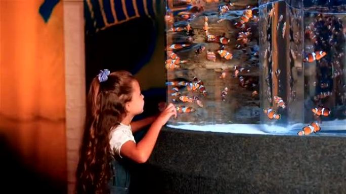 小女孩看着热带鱼在水箱里游泳