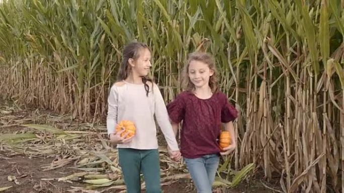 两个年轻女孩带着南瓜穿过玉米迷宫