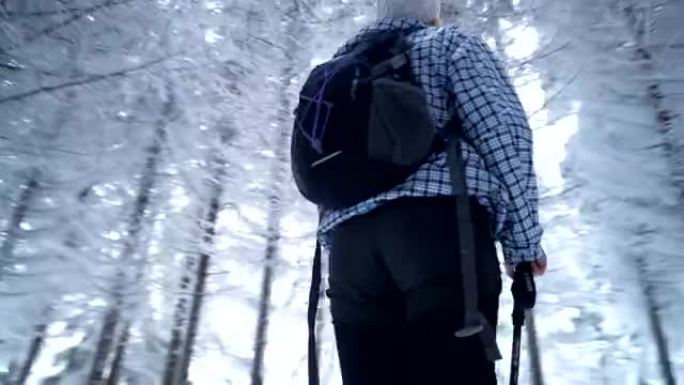 Female hiker in snowy forest