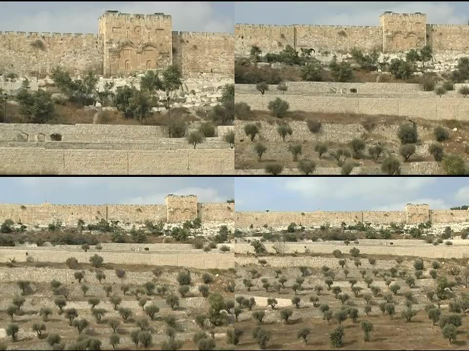耶路撒冷的金门和橄榄树谷