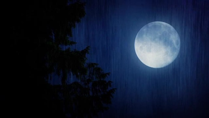 大雨中的月亮和树