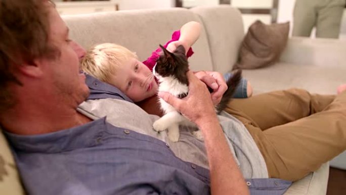 现代爸爸抱着猫给儿子在沙发上宠物