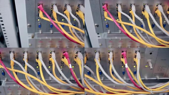 带电缆的现代网络交换机。服务器连接