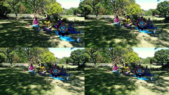 一群人在公园表演瑜伽4k