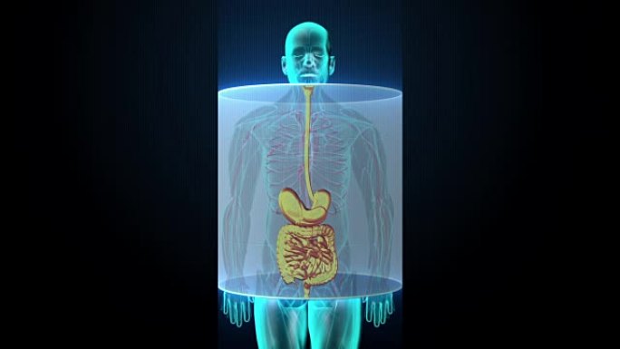 放大和扫描人体，蓝色x射线光。