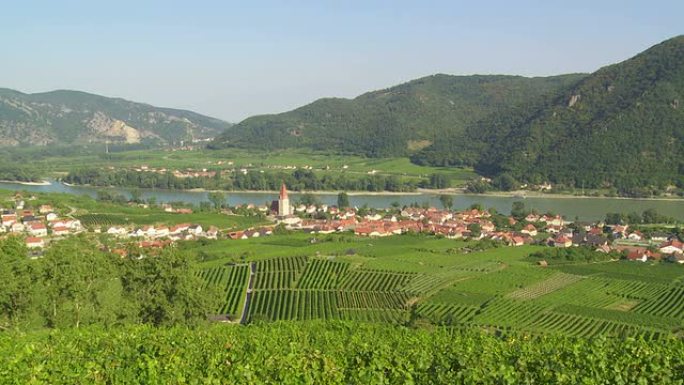 Wachau Valley PAN葡萄园