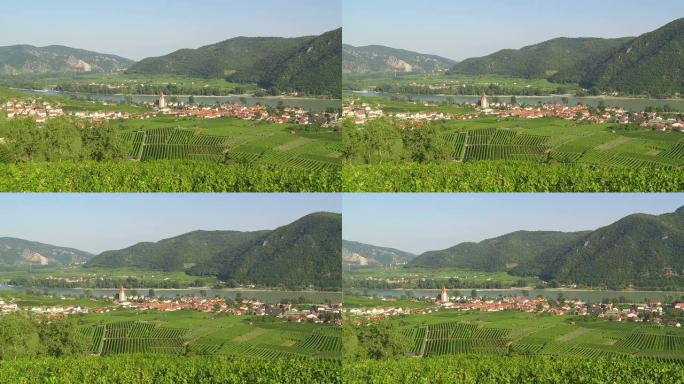 Wachau Valley PAN葡萄园