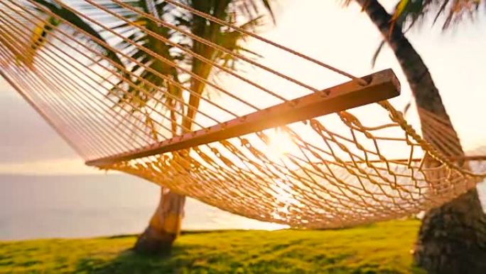 日落时的吊床和棕榈树华丽的太阳耀斑。