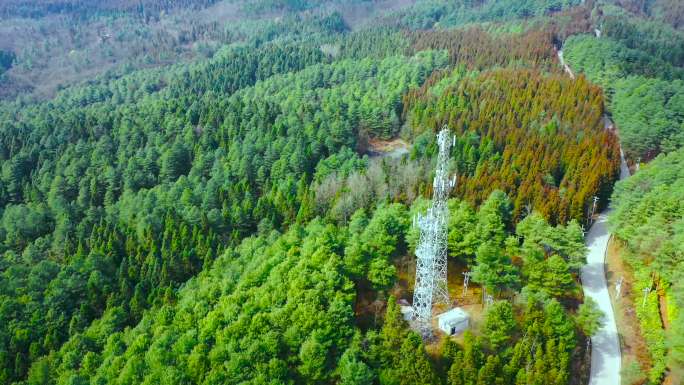 森林里的信号发射台