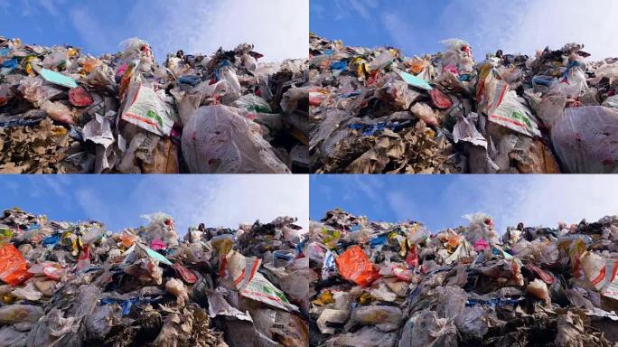 很多塑料，垃圾在填埋场。来自贝娄的城市垃圾倾倒。