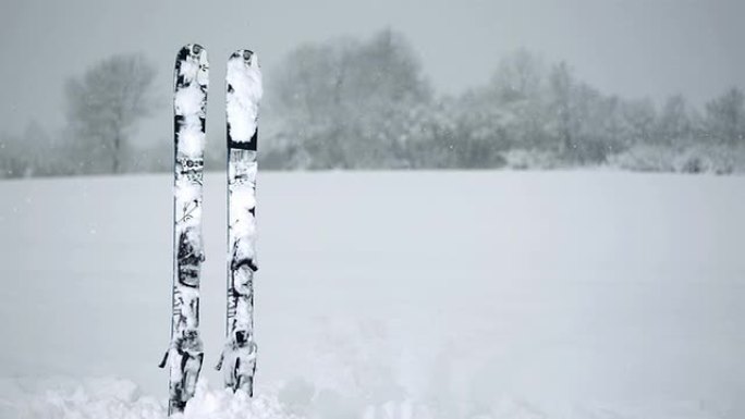 高清超慢动作: 滑雪板卡在雪地里