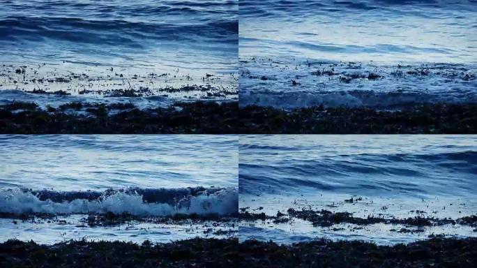 晚上海藻破浪