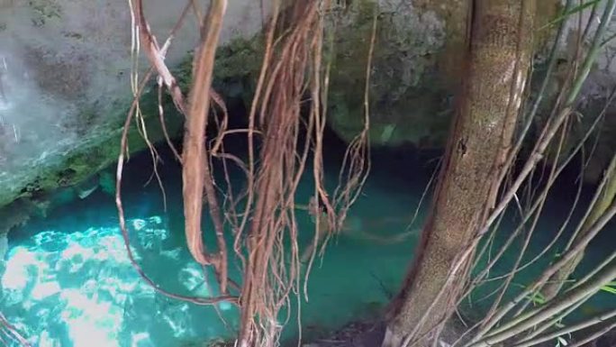 特写: 女性在丛林中的cenote污水坑中沐浴在清澈的水中