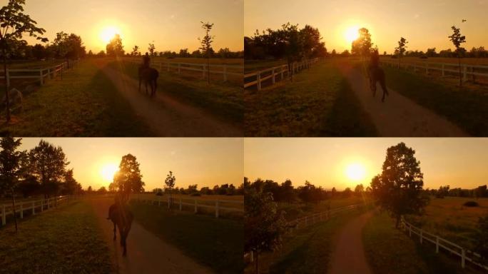 空中: 金色日落时分，女孩骑马骑着种马穿越田野
