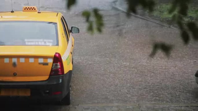 雨水倾泻在出租车和人行道上。模糊的树枝在风中摇摆