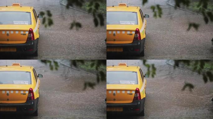 雨水倾泻在出租车和人行道上。模糊的树枝在风中摇摆