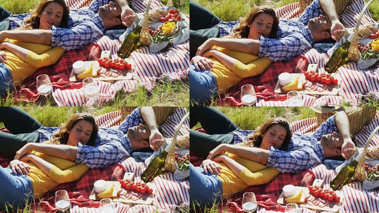 夫妇睡在4k橄榄农场的野餐毯上