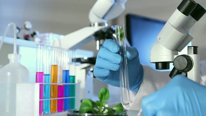 绿色遗传实验实验室疫苗研发外国人