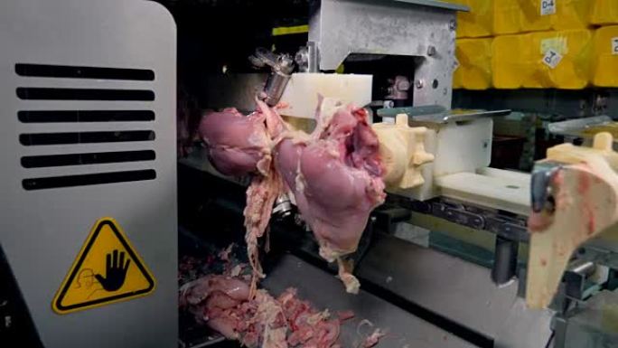 机器去骨时的鸡胸盖。