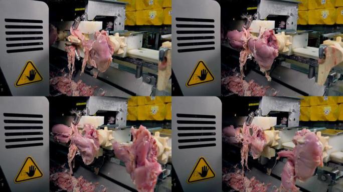 机器去骨时的鸡胸盖。