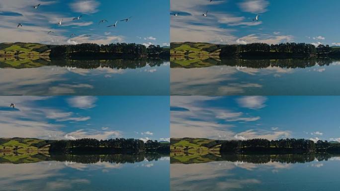 鸟瞰图飞越湖面，驶向新西兰绿草如茵的山丘。镜面反射