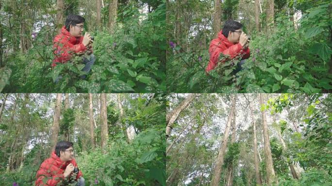 男子在松树林中拍摄花朵的俯仰镜头