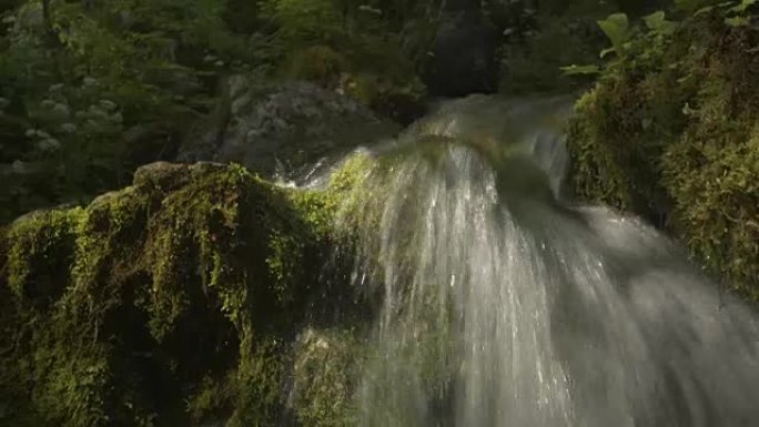 山河小瀑布和瀑布落在阳光明媚的森林中的苔藓岩石上