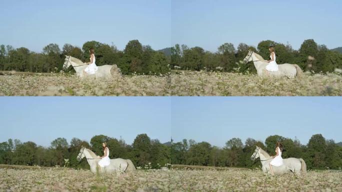 空中: 穿着白色连衣裙的年轻女孩在盛开的田野里骑着白马