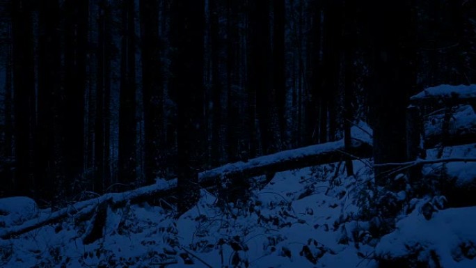 夜间通过白雪皑皑的森林斜坡