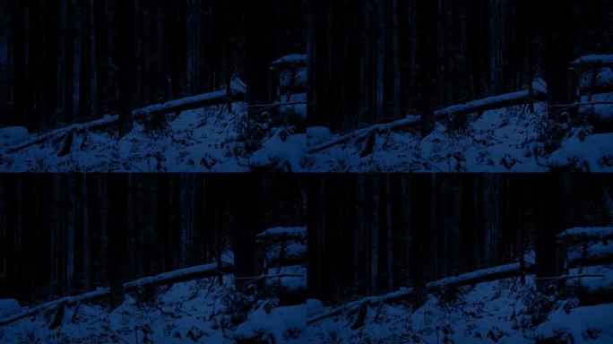 夜间通过白雪皑皑的森林斜坡