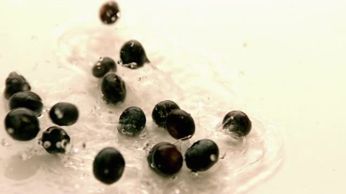 蓝莓在白色潮湿的表面上掉落和弹跳