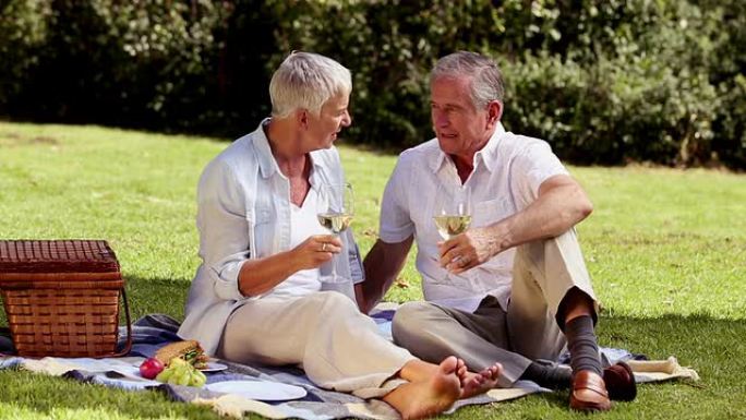 老年夫妇在野餐时喝白葡萄酒