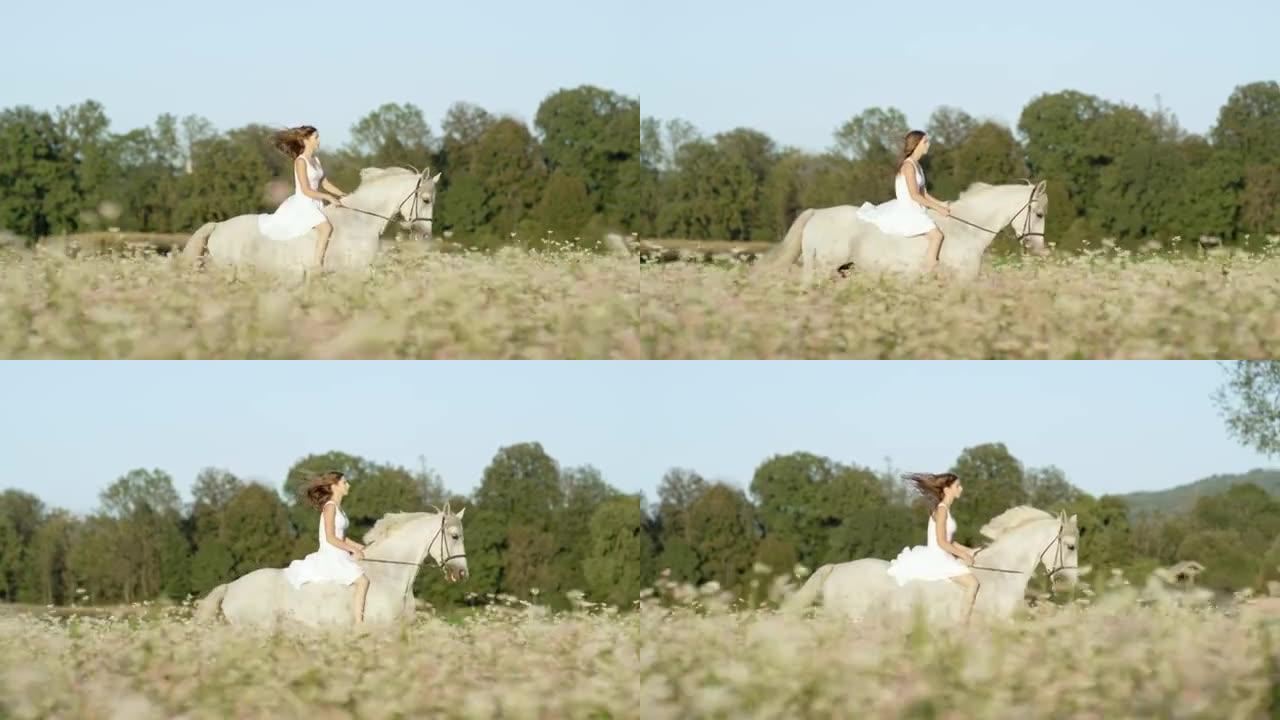 慢镜头:天真的年轻女子骑着白马在粉红色的花海中