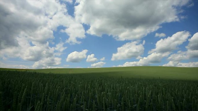 绿色麦田TL上方的高清多云天空