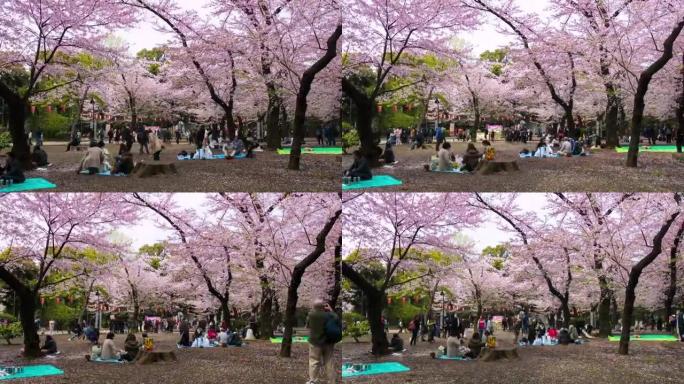 樱花花园的游客