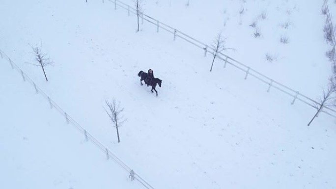 空中: 年轻女孩骑手在冬季仙境骑马