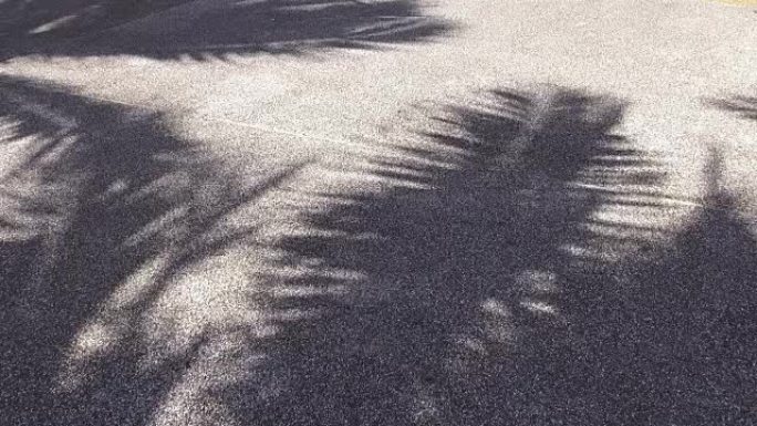 高清格式: 石头纹理表面背景上移动树枝的抽象阴影。